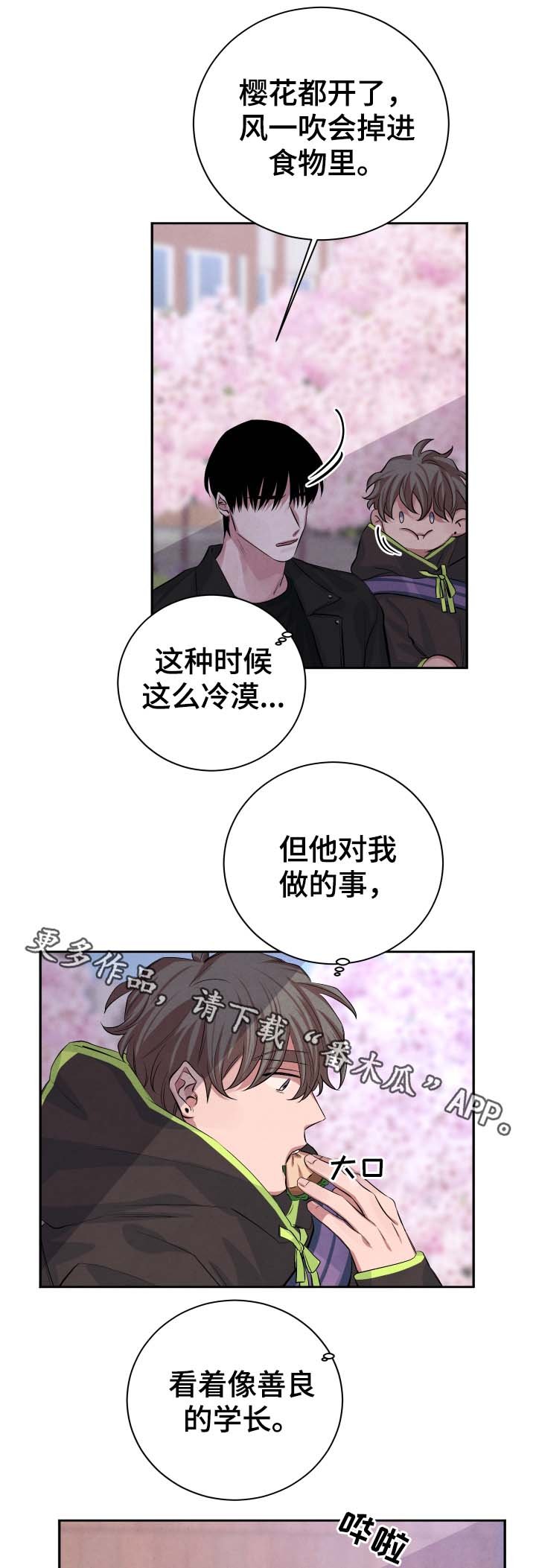 第39章：樱花