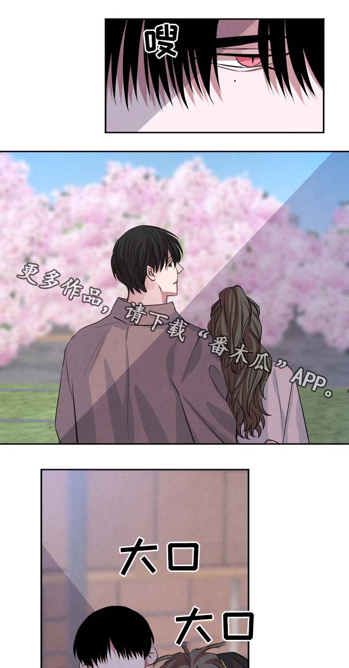 第39章：樱花