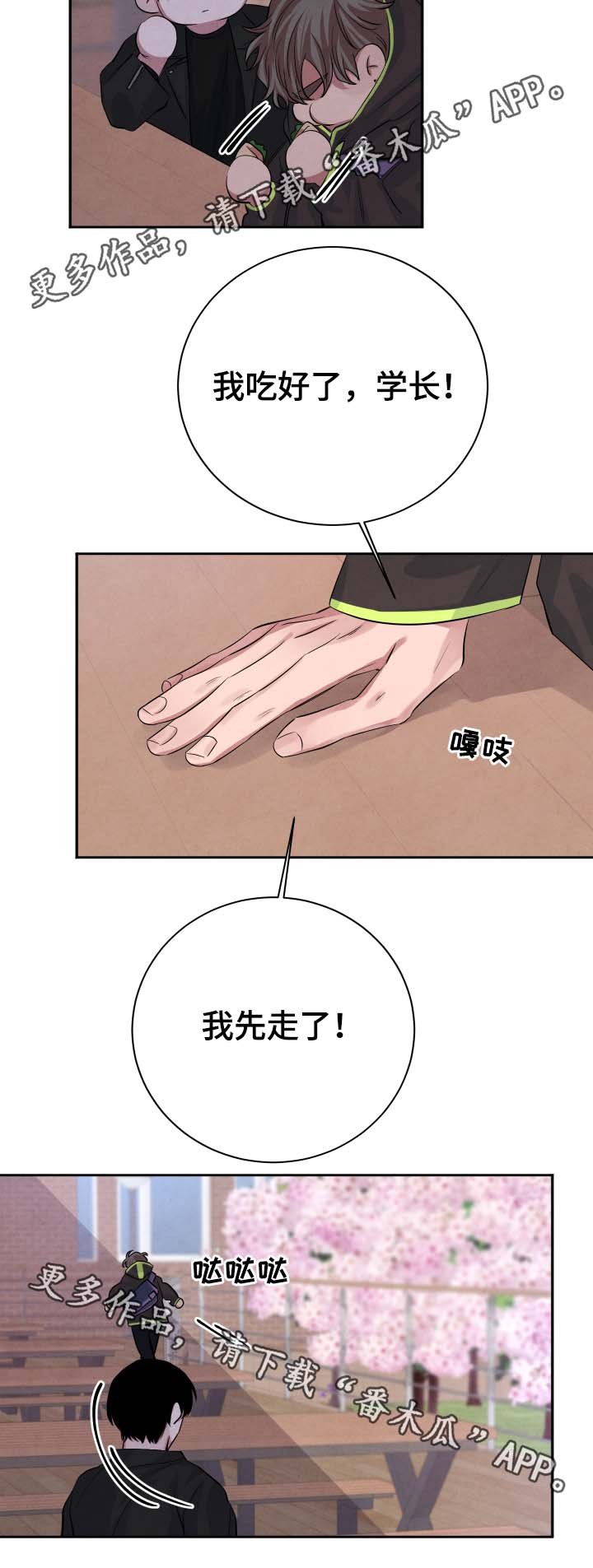第39章：樱花