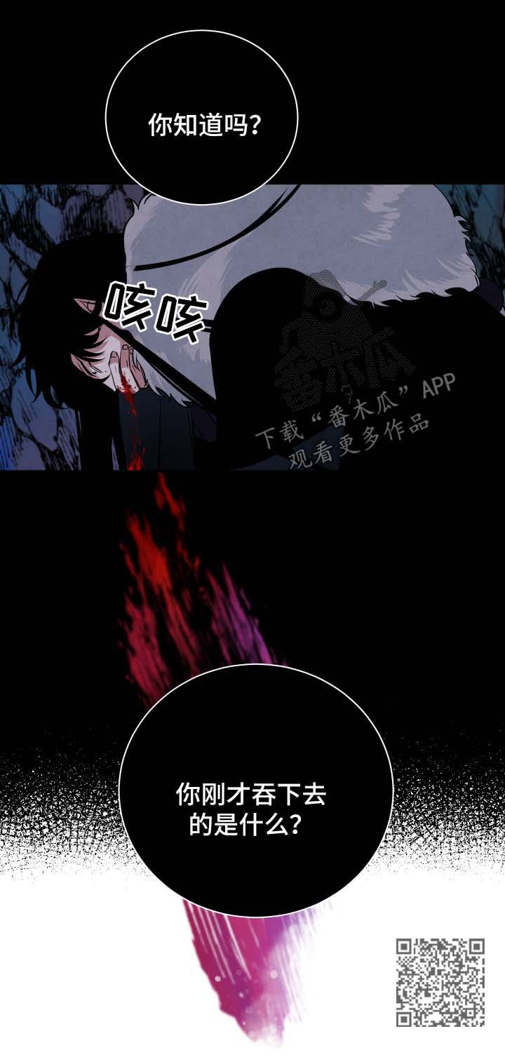第52章：故事
