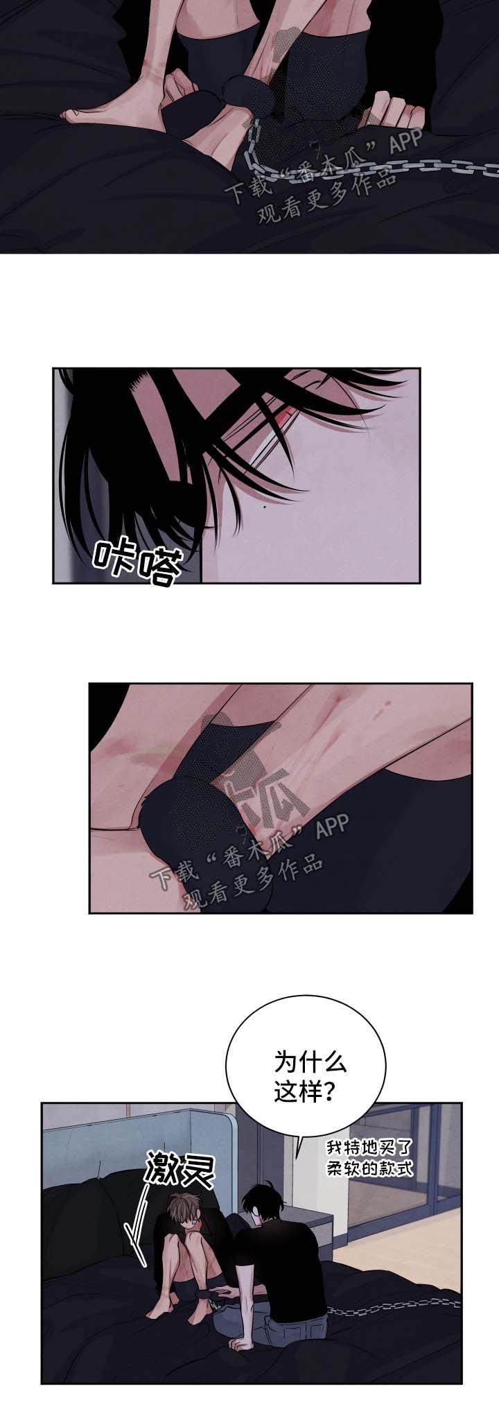 第81章：假设