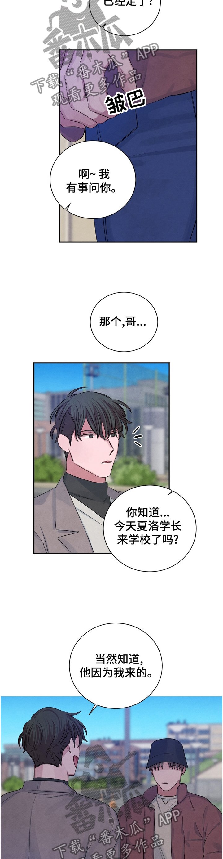 第95章：【番外】什么意思