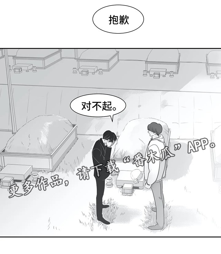 第40章：我喜欢你（第一季完）