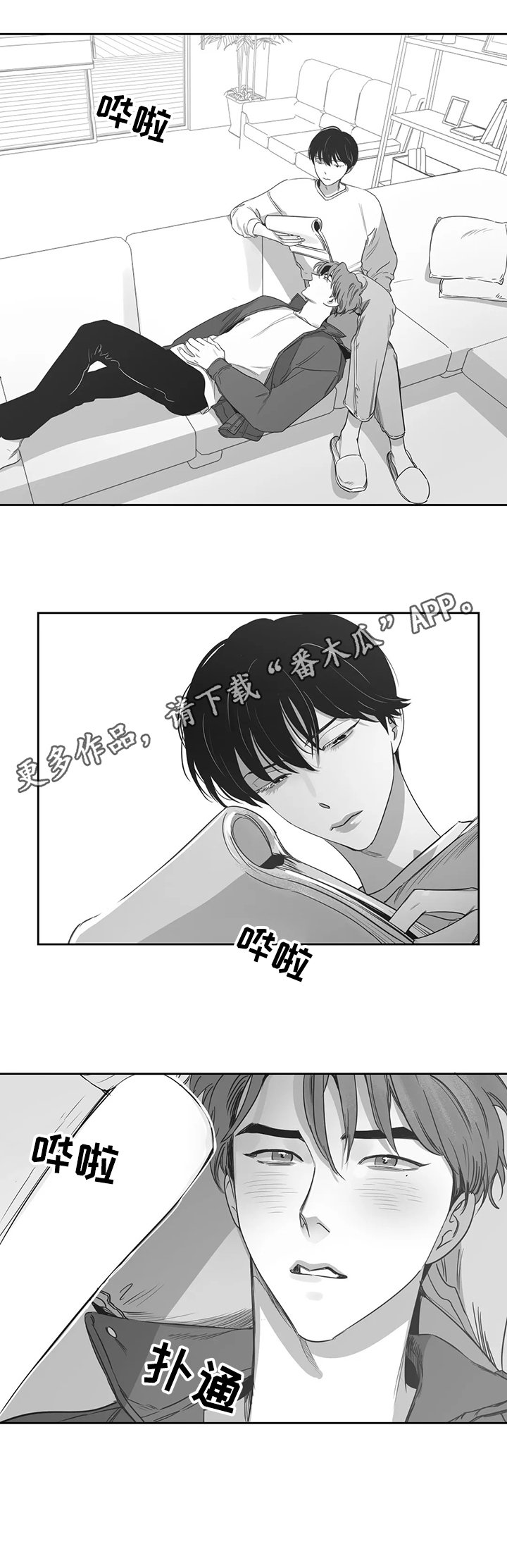 第56章：岁月静好