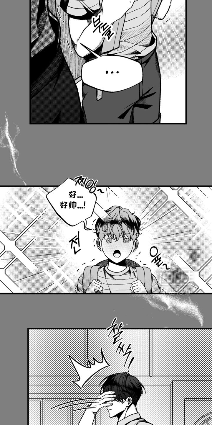 第12章：温柔单纯的人