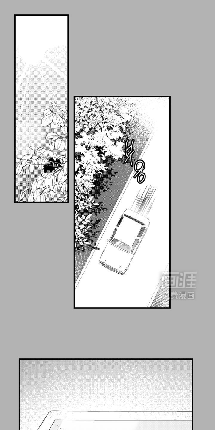 第20章：自己的理由