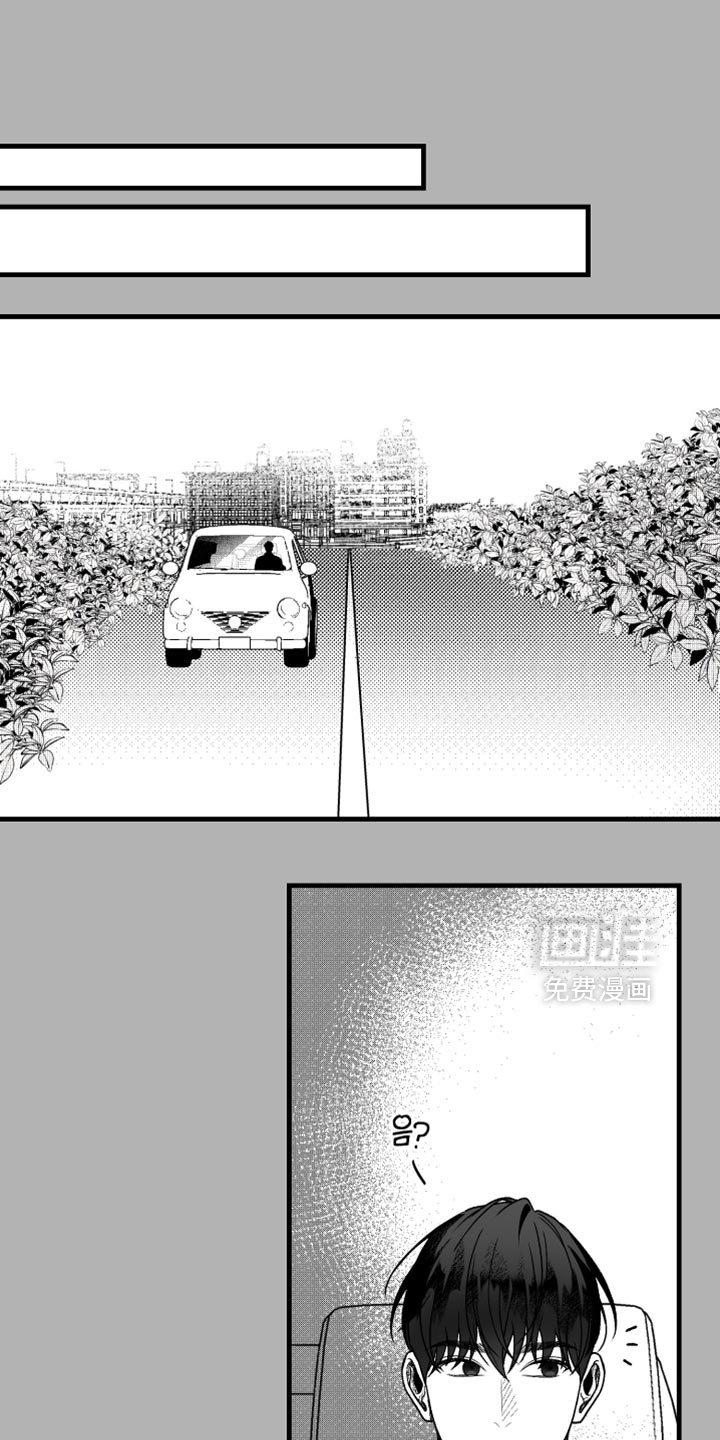 第21章：错觉