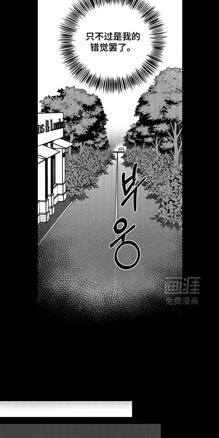 第21章：错觉