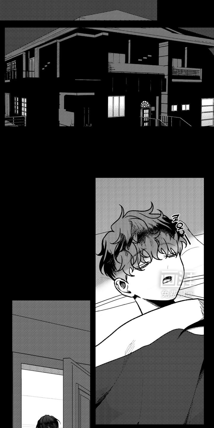 第21章：错觉