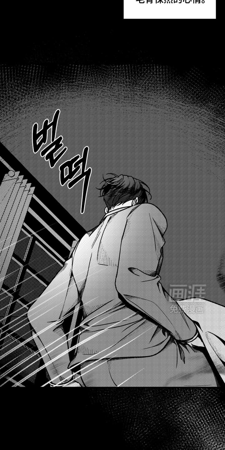 第21章：错觉