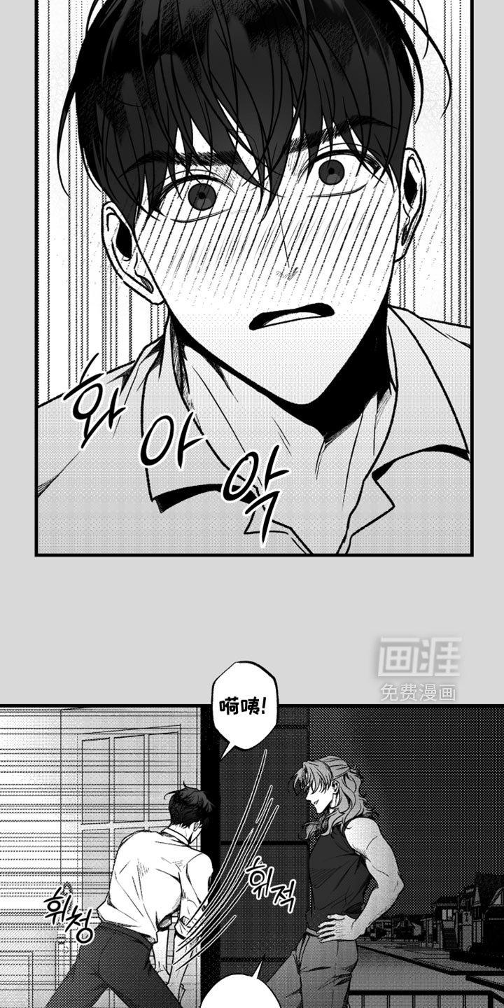 第26章：什么也看不见