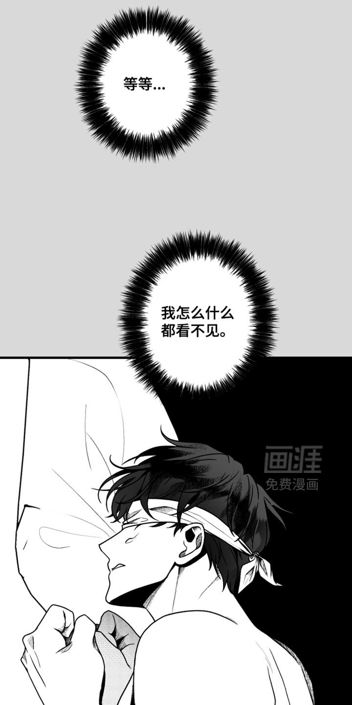 第26章：什么也看不见