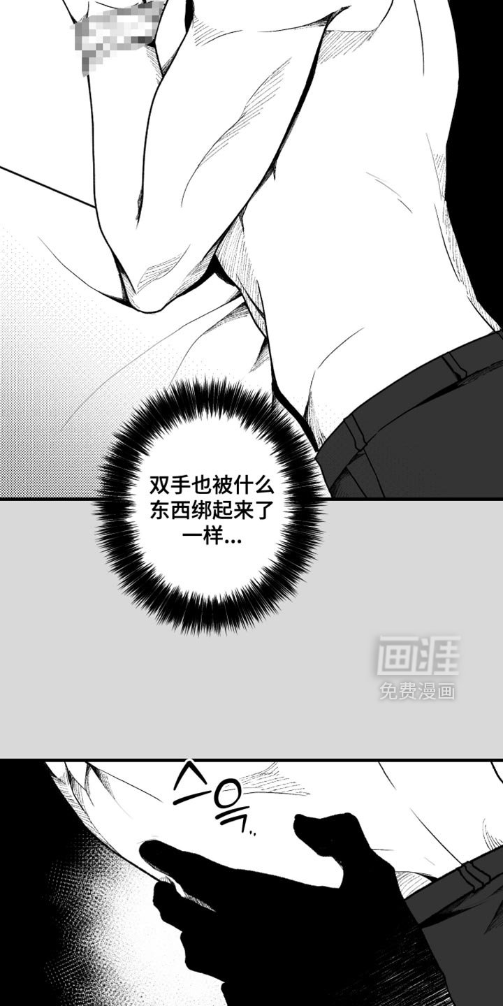 第26章：什么也看不见