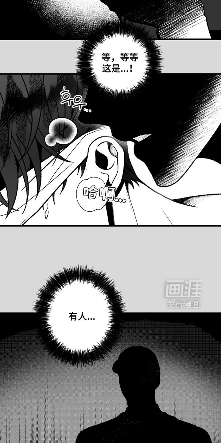 第26章：什么也看不见