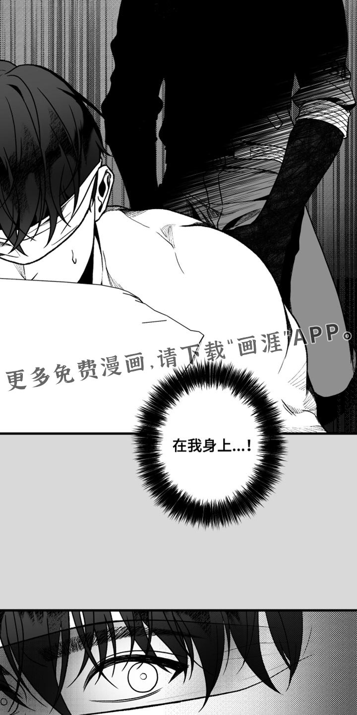第26章：什么也看不见