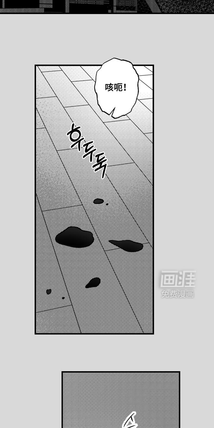 第27章：不祥的预感