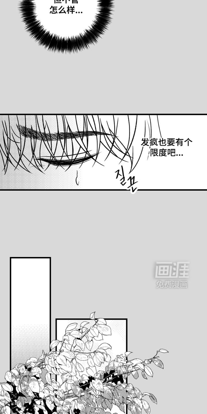 第27章：不祥的预感