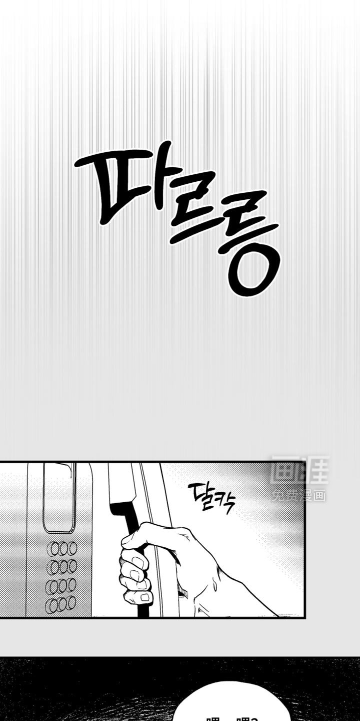 第28章：失踪