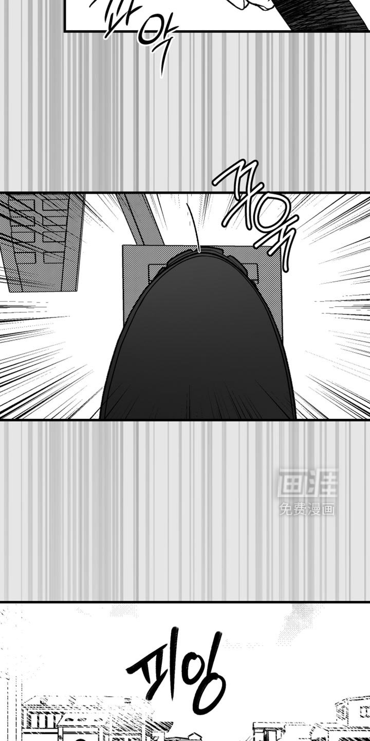 第28章：失踪