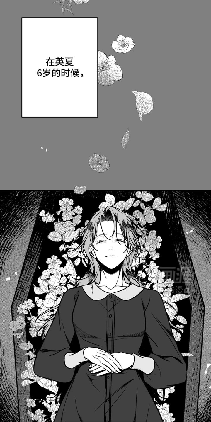 第37章：一个人的约定