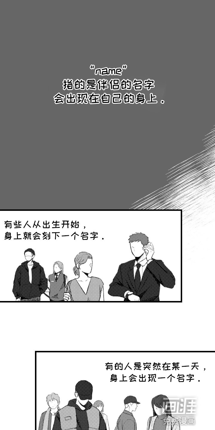 第8章：命中注定的伴侣