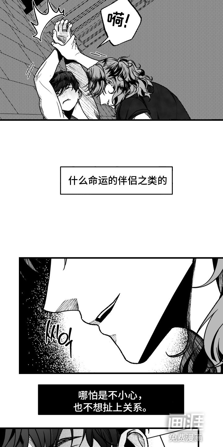 第8章：命中注定的伴侣