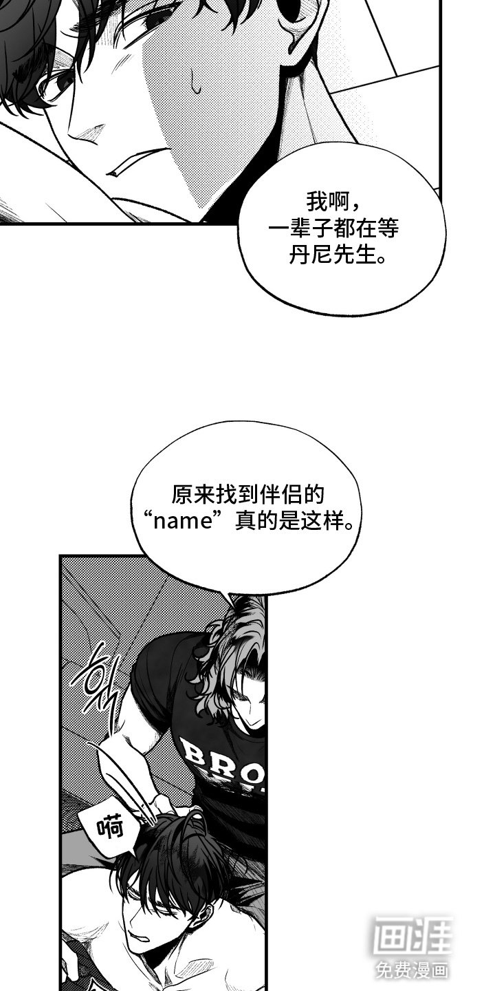 第8章：命中注定的伴侣
