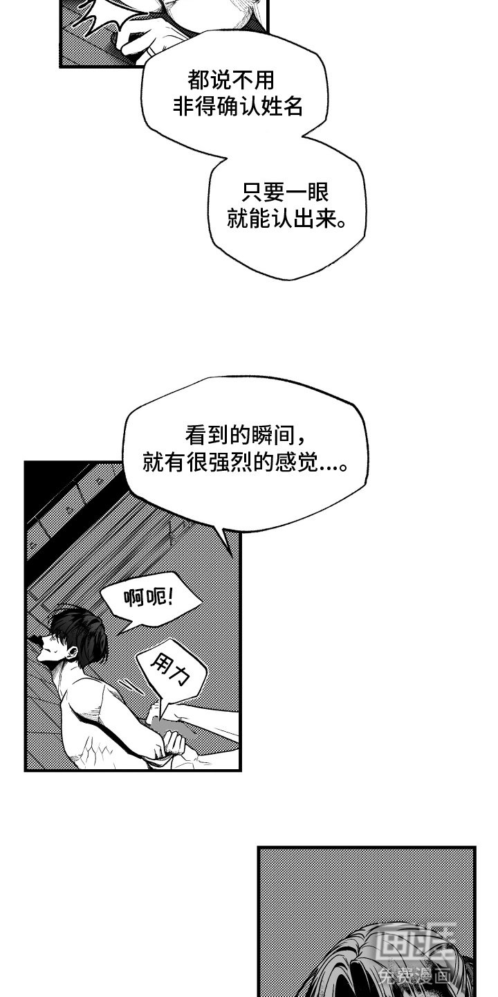 第8章：命中注定的伴侣
