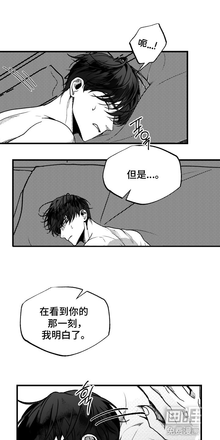 第8章：命中注定的伴侣