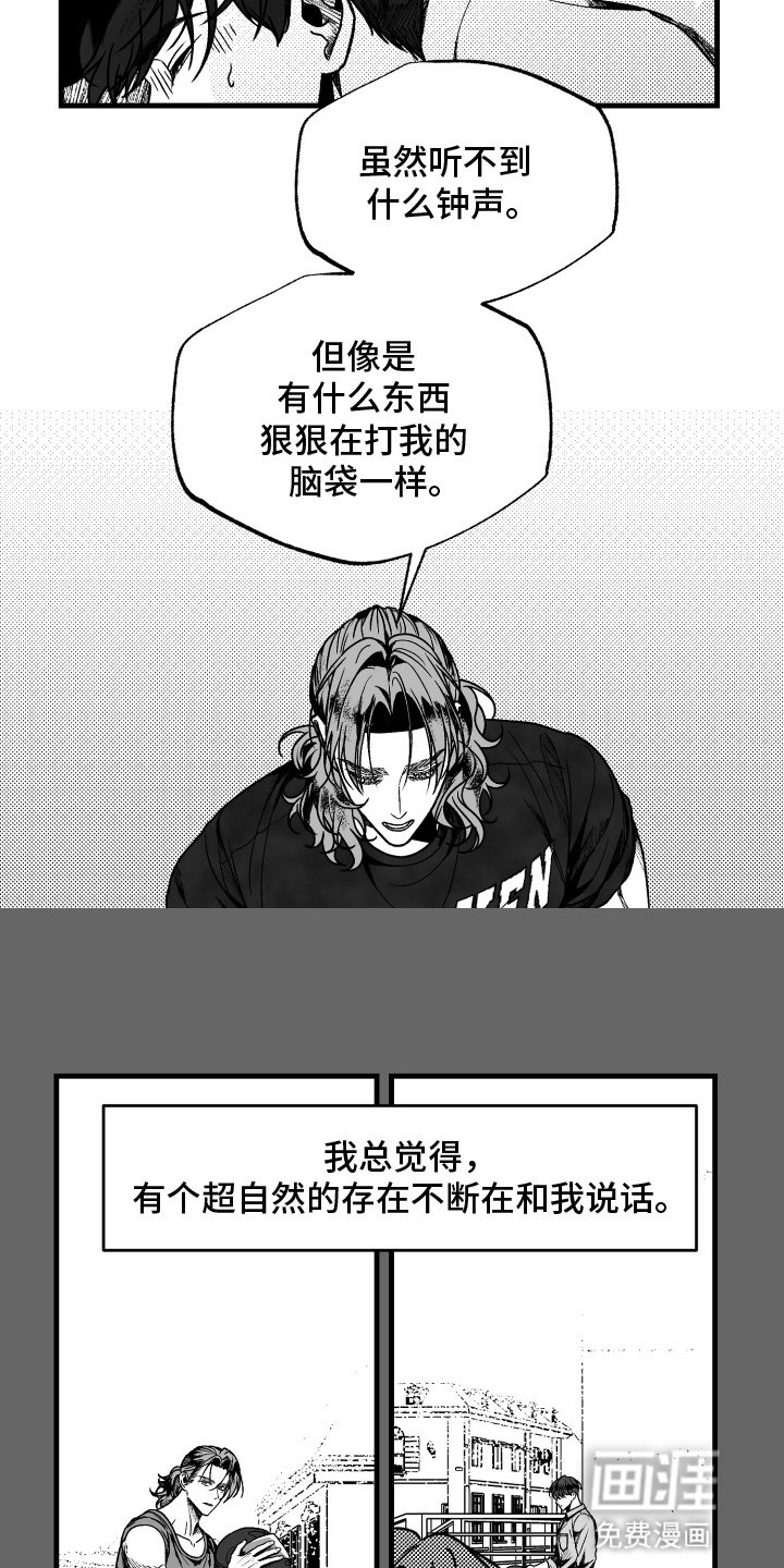 第8章：命中注定的伴侣
