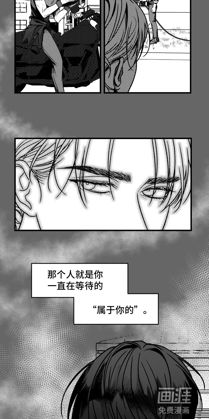 第8章：命中注定的伴侣