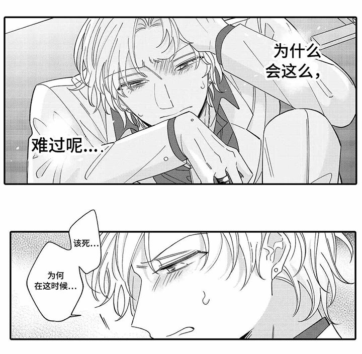 第13章：真心