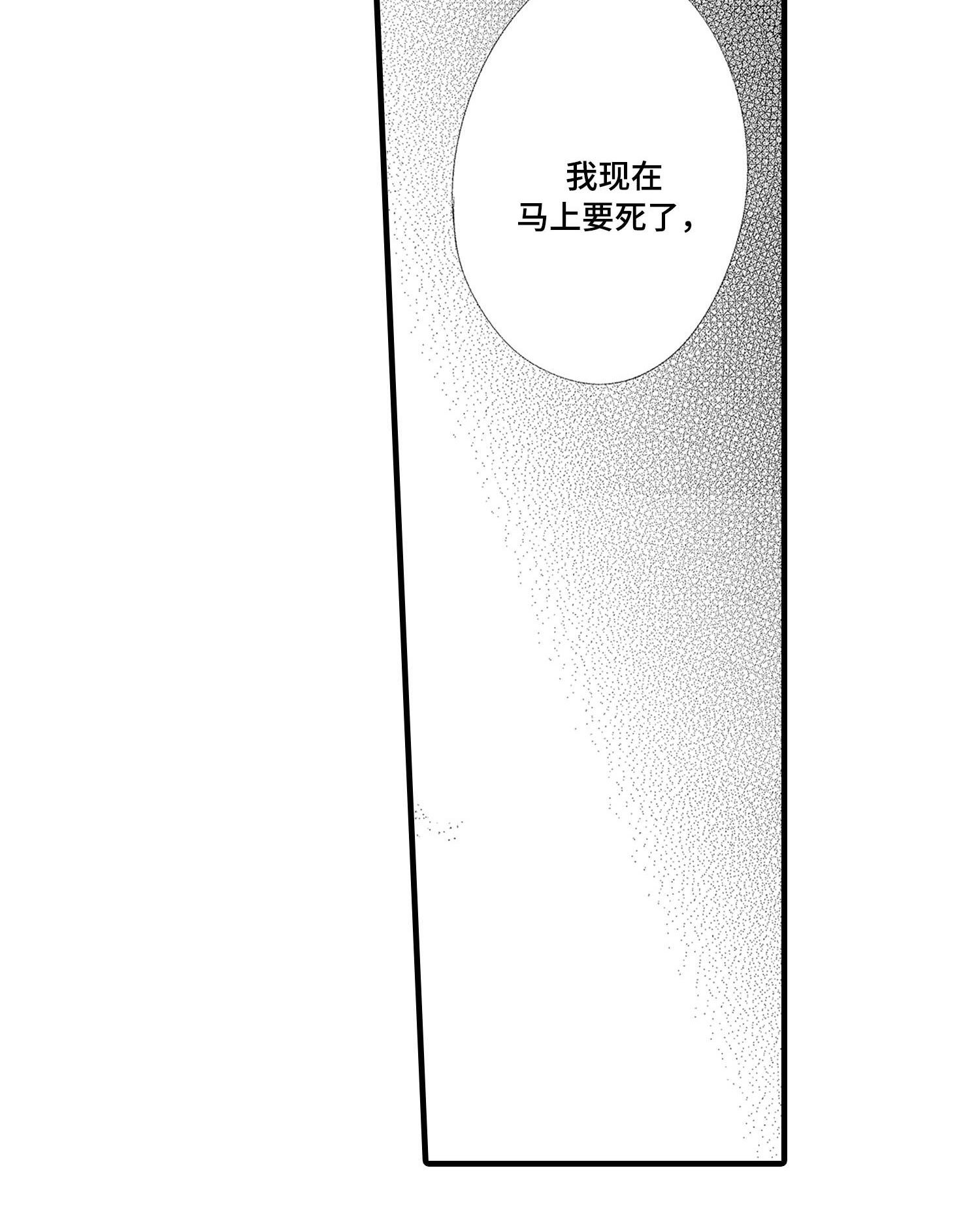 第28章：番外