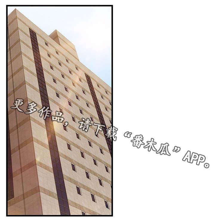第29章：反常