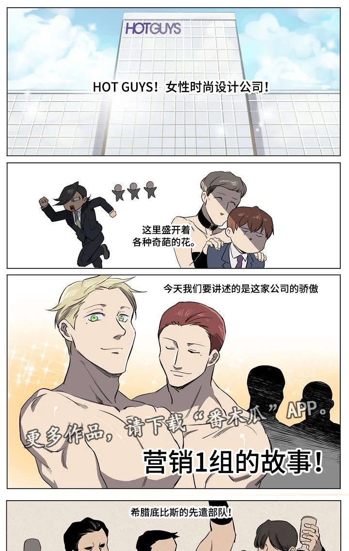 第17章：营销一组