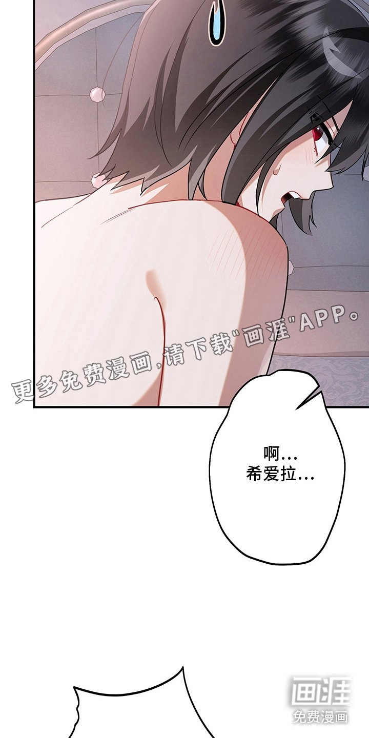 第11章：不害臊的兔子