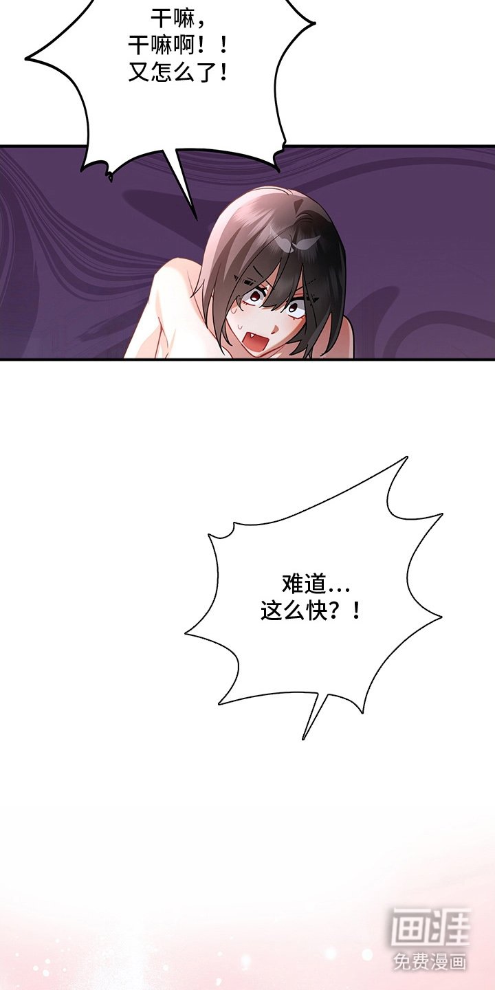 第11章：不害臊的兔子