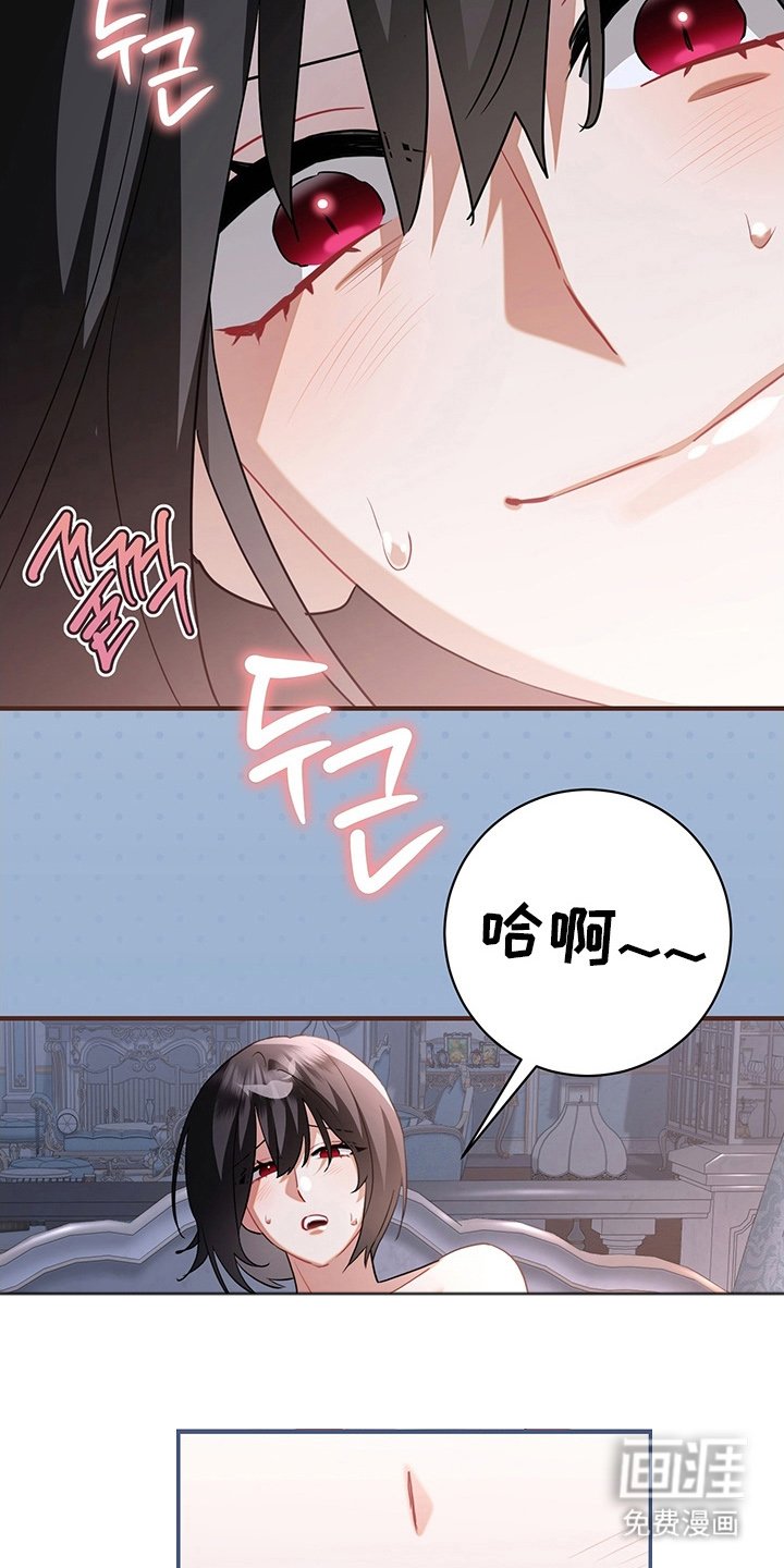 第11章：不害臊的兔子