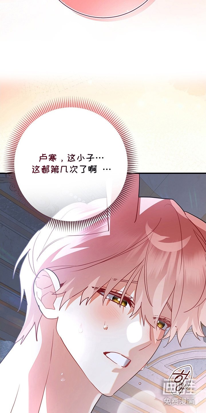 第11章：不害臊的兔子