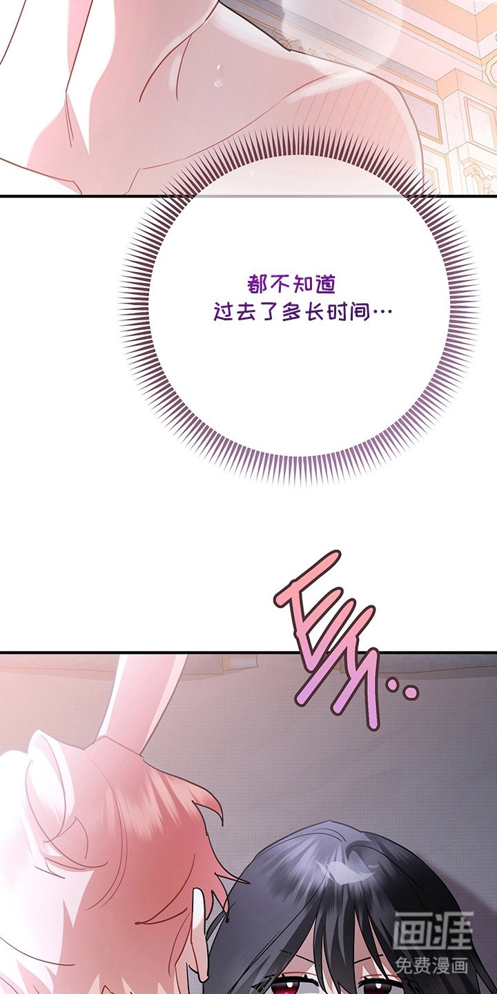 第11章：不害臊的兔子