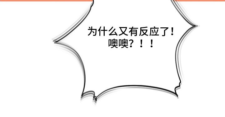 第11章：不害臊的兔子