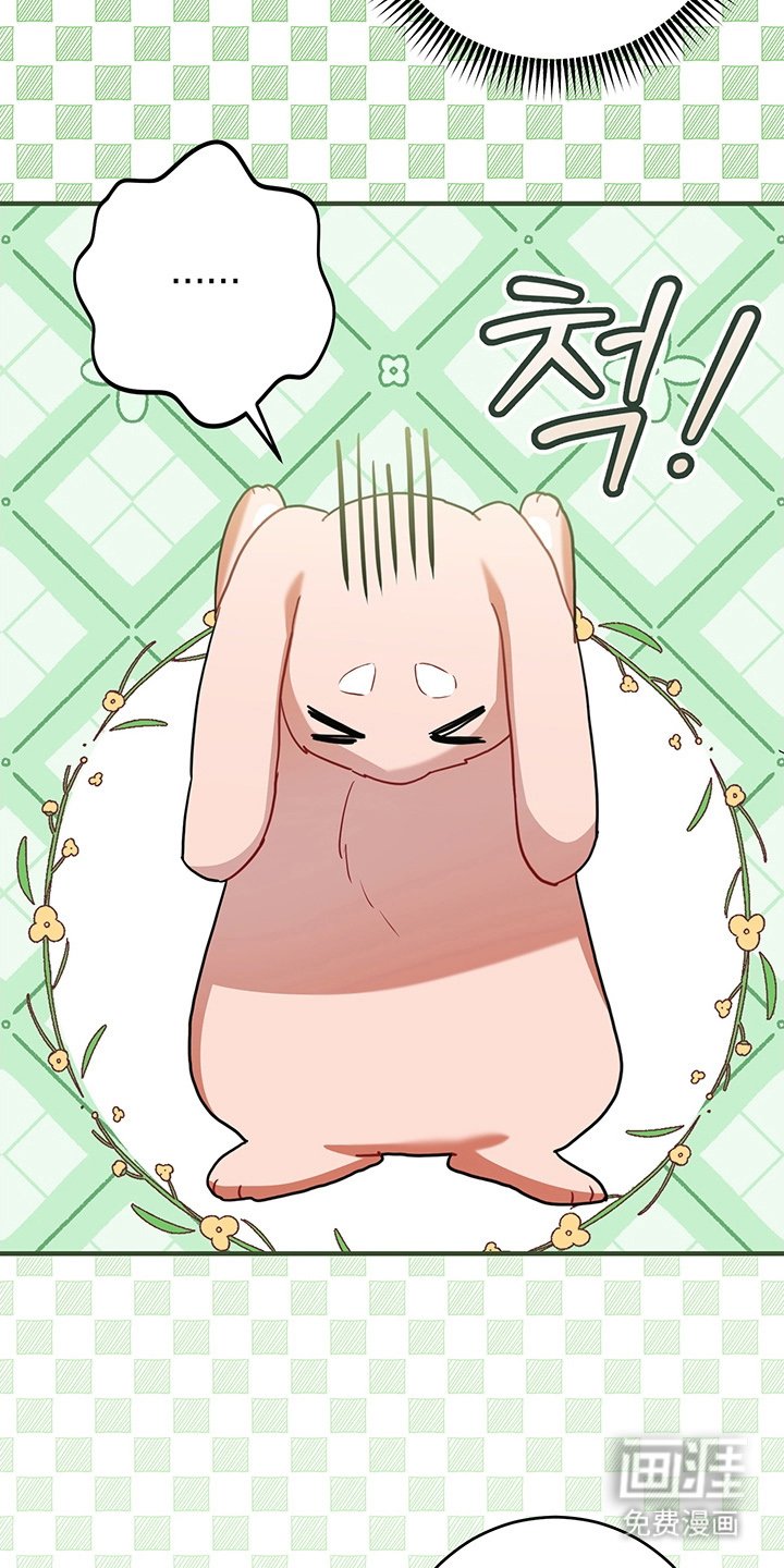 第13章：反省