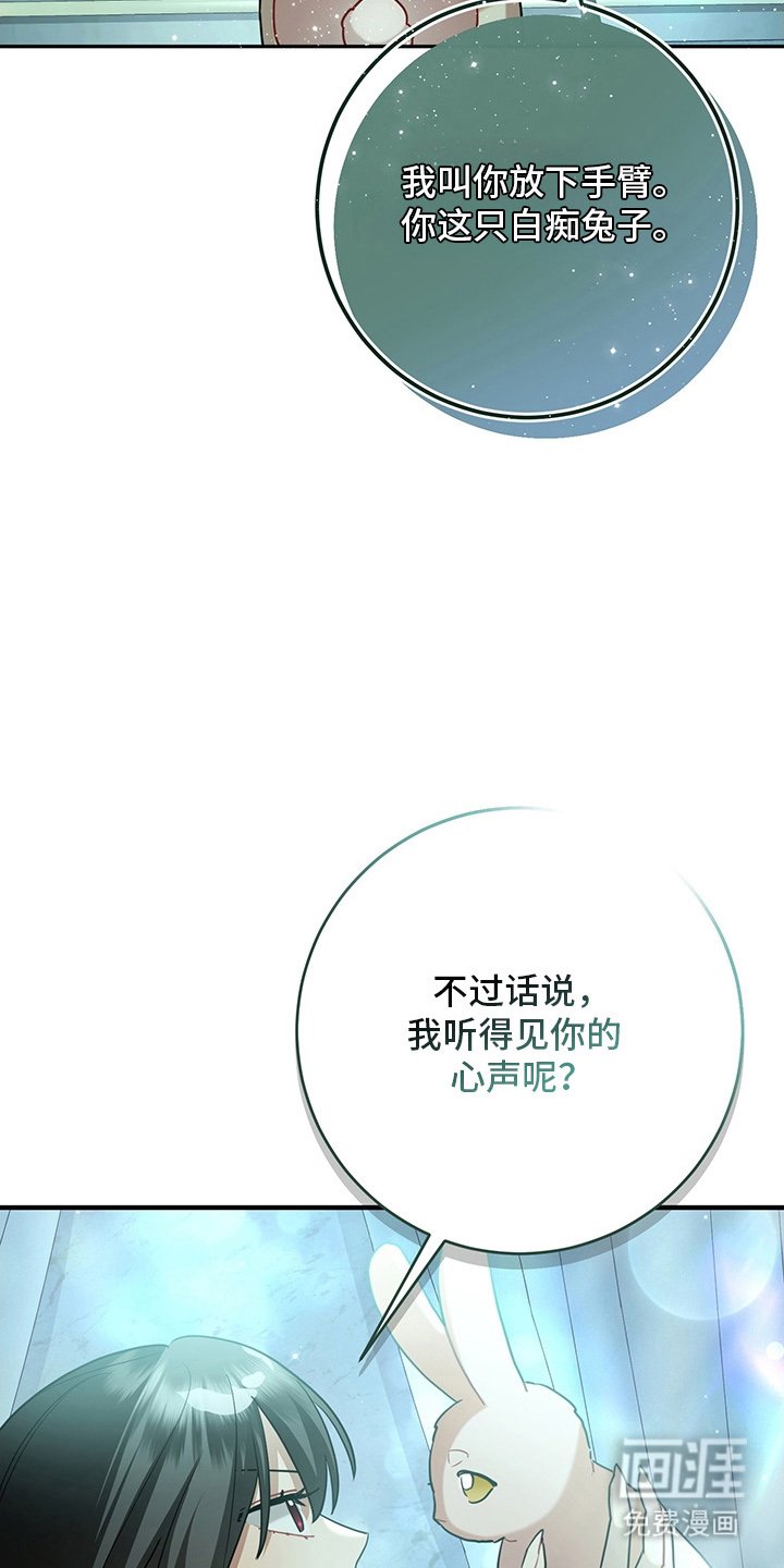 第13章：反省