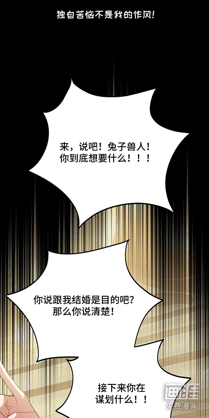 第17章：郊游