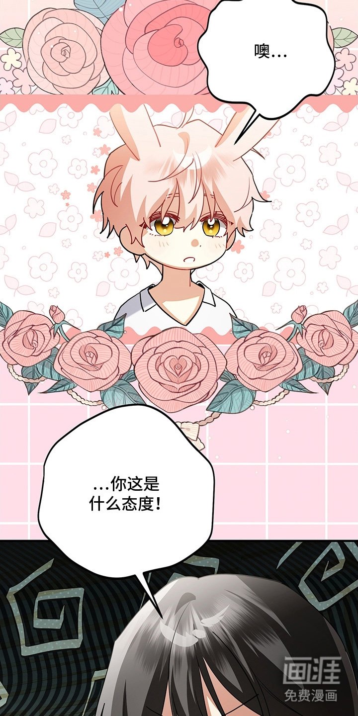 第17章：郊游