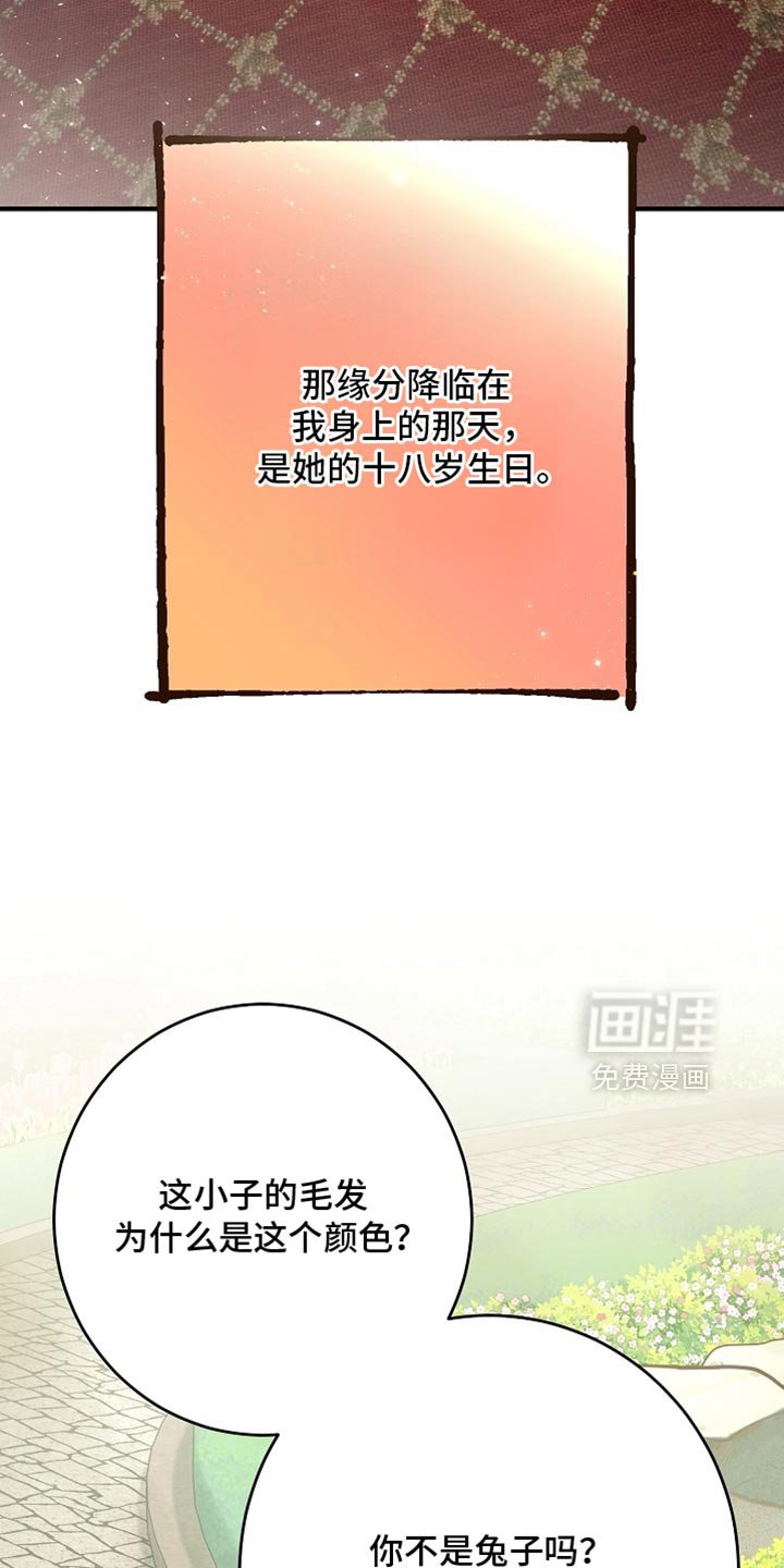 第25章：你自己来说