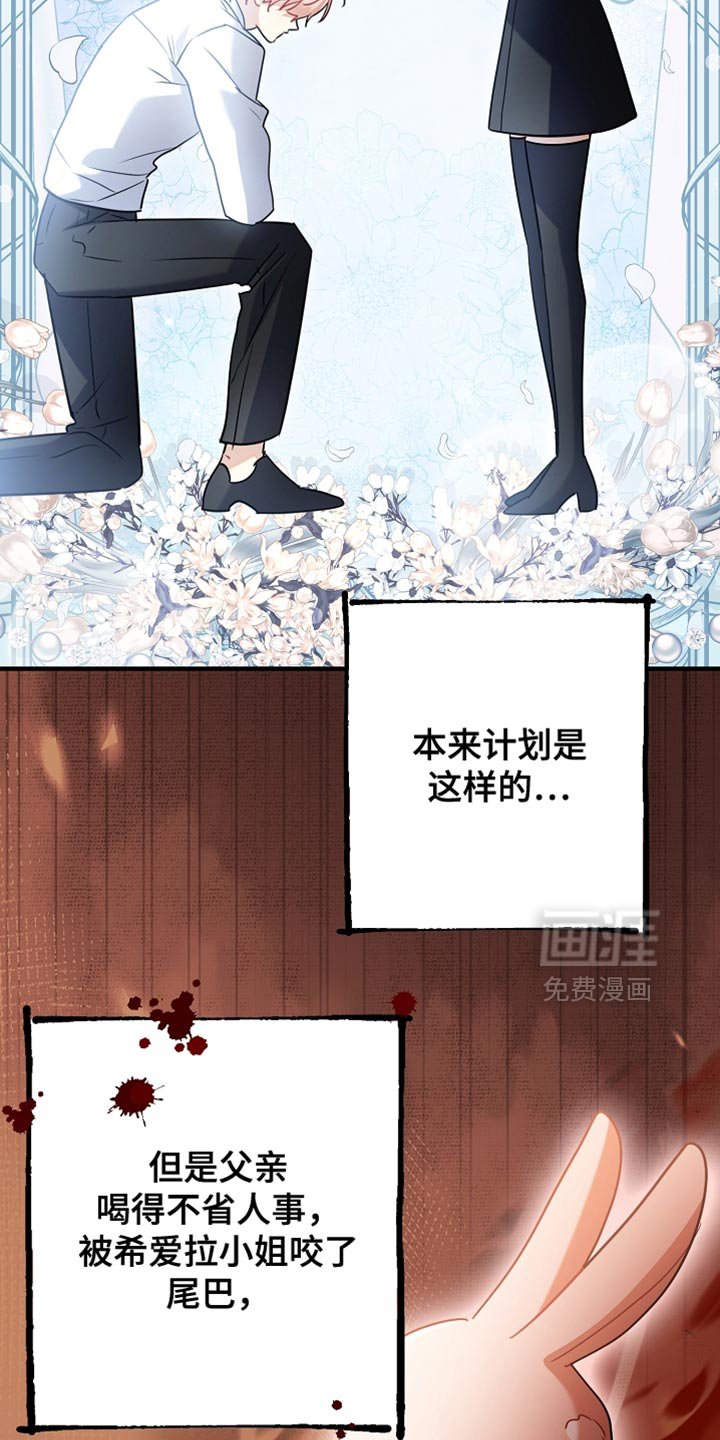 第28章：最幸福的男人