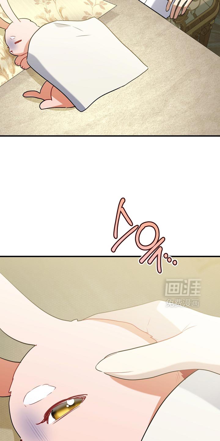 第34章：真正的辛苦