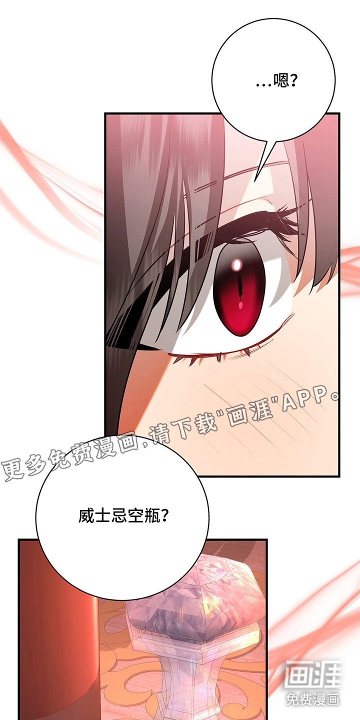 第4章：兔毛球
