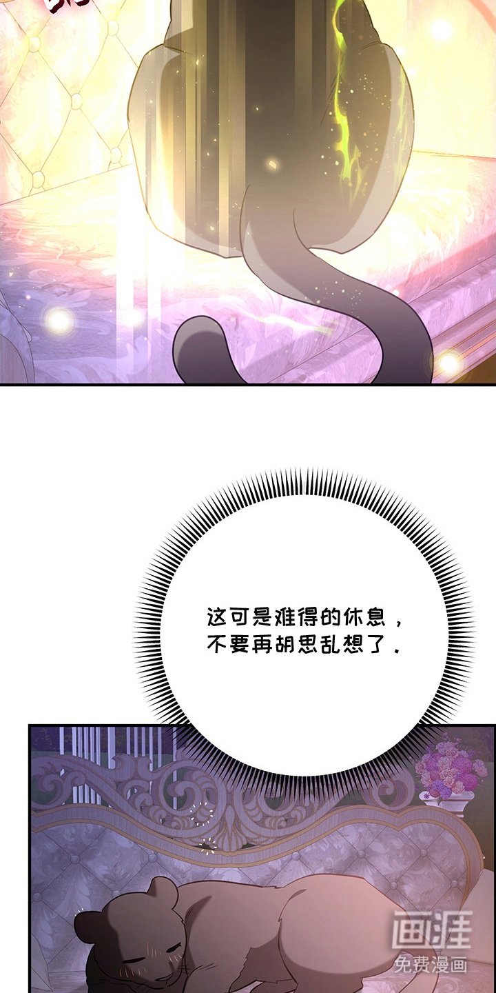 第4章：兔毛球